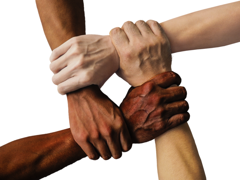 Comment organiser un team building réussi